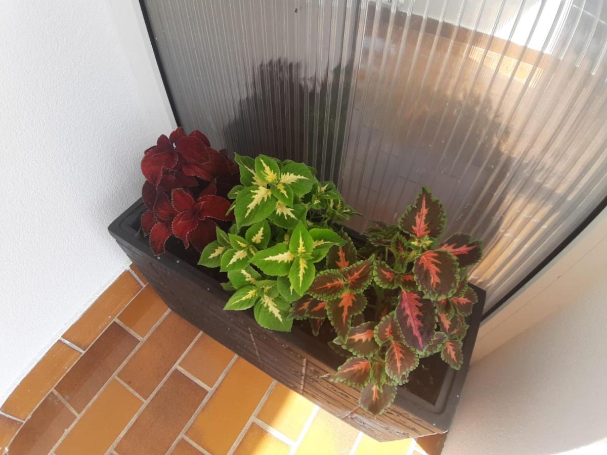 Apartmani Ksenija Kožino Kültér fotó